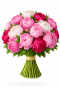 пионы пионы