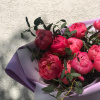 Коралловые Пионы